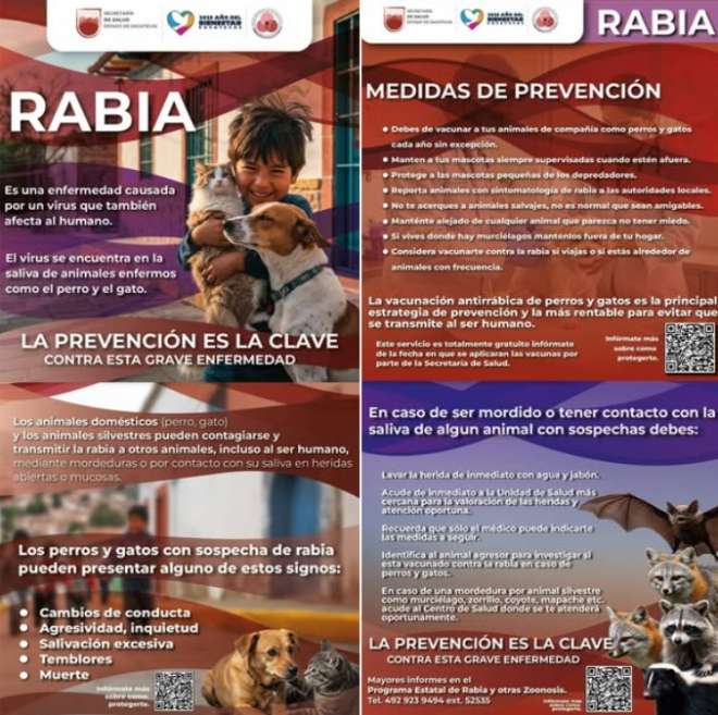 TOMA EN CUENTA LA SIGUIENTE INFORMACI�N 👇👇👇👇